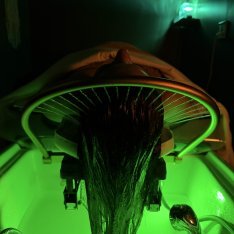 Head Spa Experience at Serene Salon & Spa in West Springfield, MA