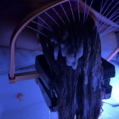 Head Spa Experience at Serene Salon & Spa in West Springfield, MA